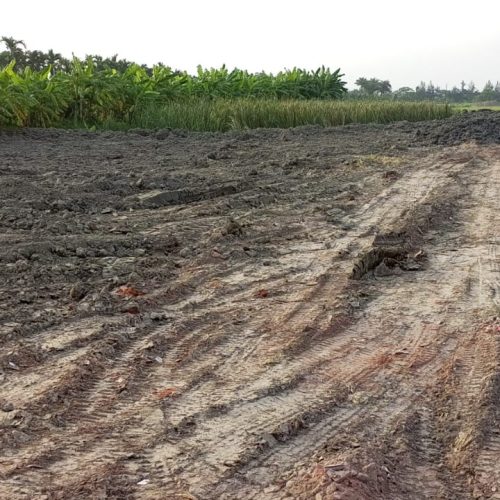 WhatsApp Image 2022-07-26 at 4.20.48 PM